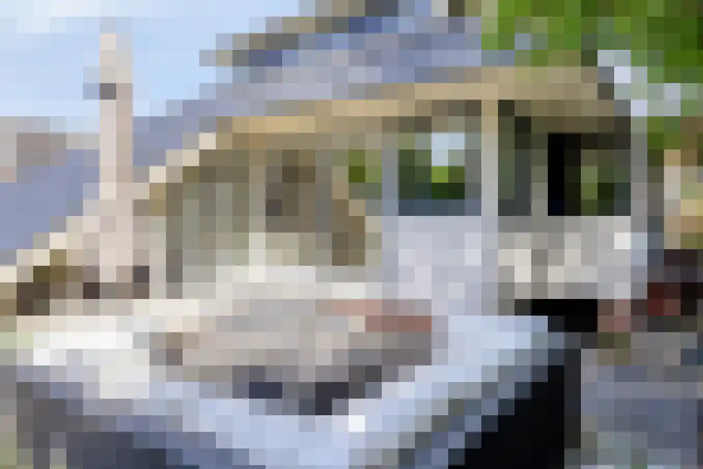 Ringoven 6 Borne thumbnail 21