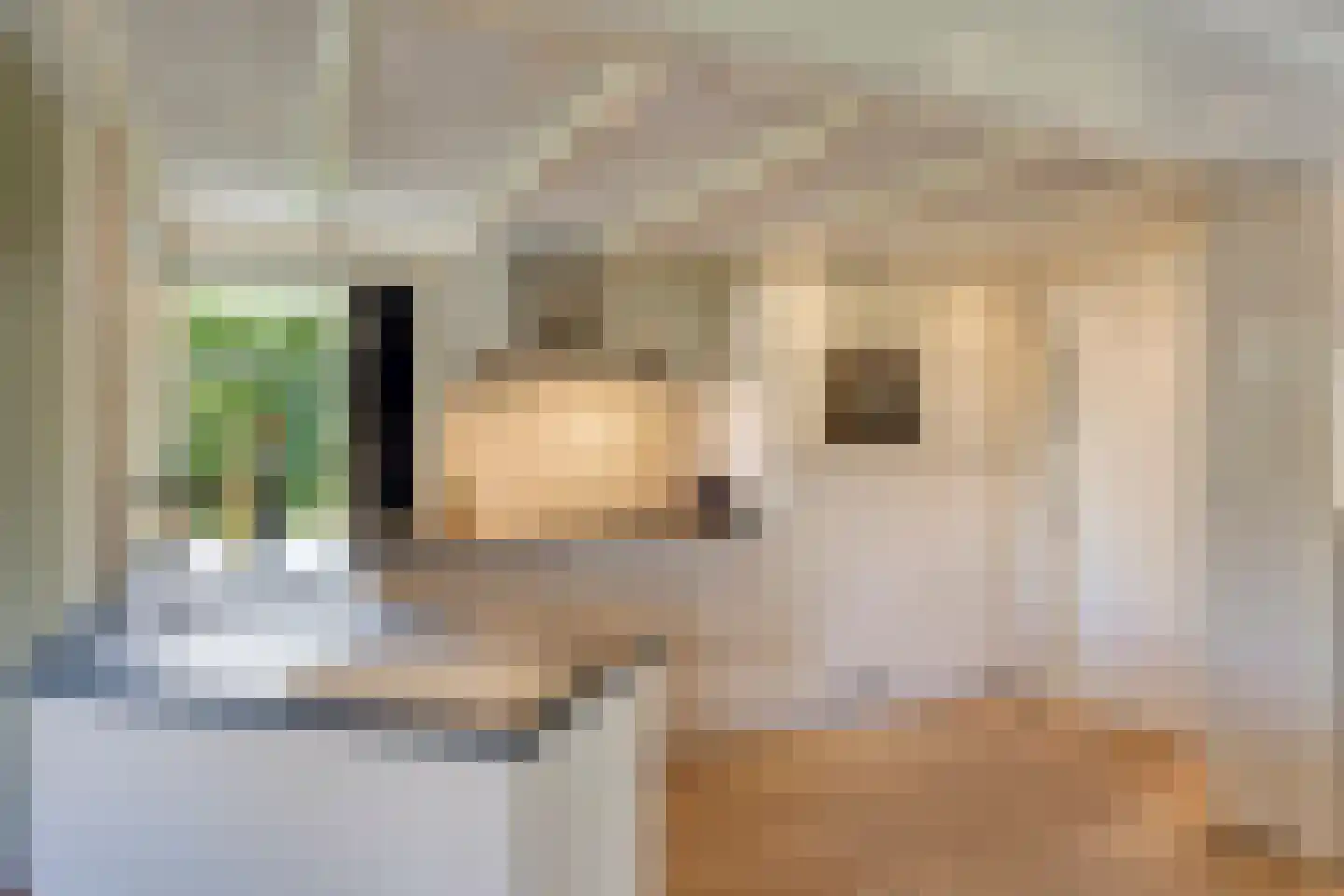 Ringoven 6 Borne thumbnail 24
