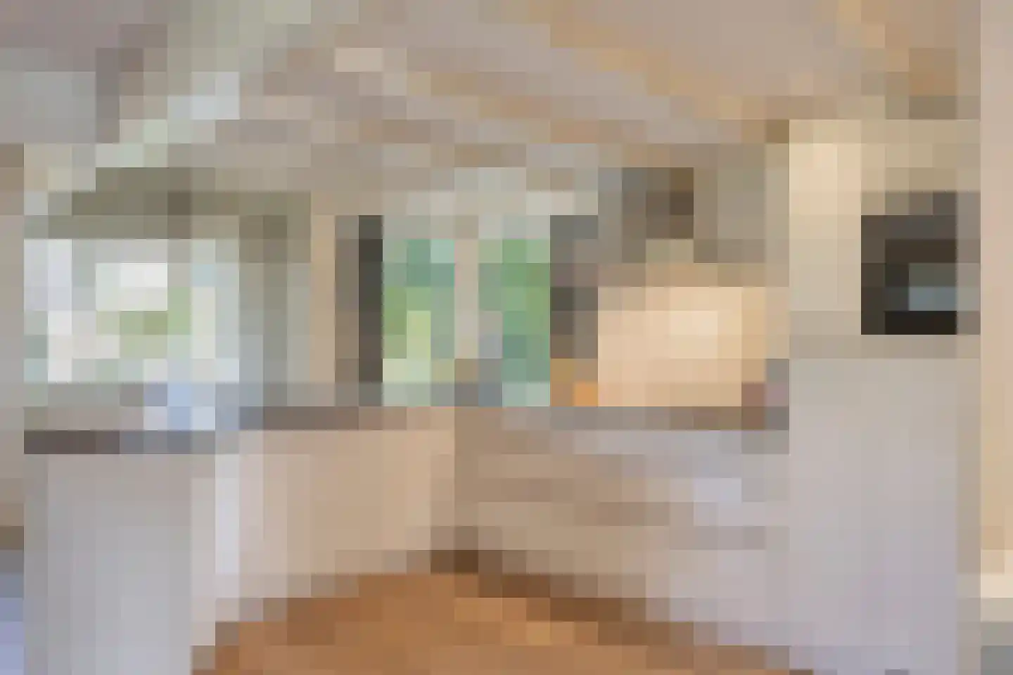 Ringoven 6 Borne thumbnail 25