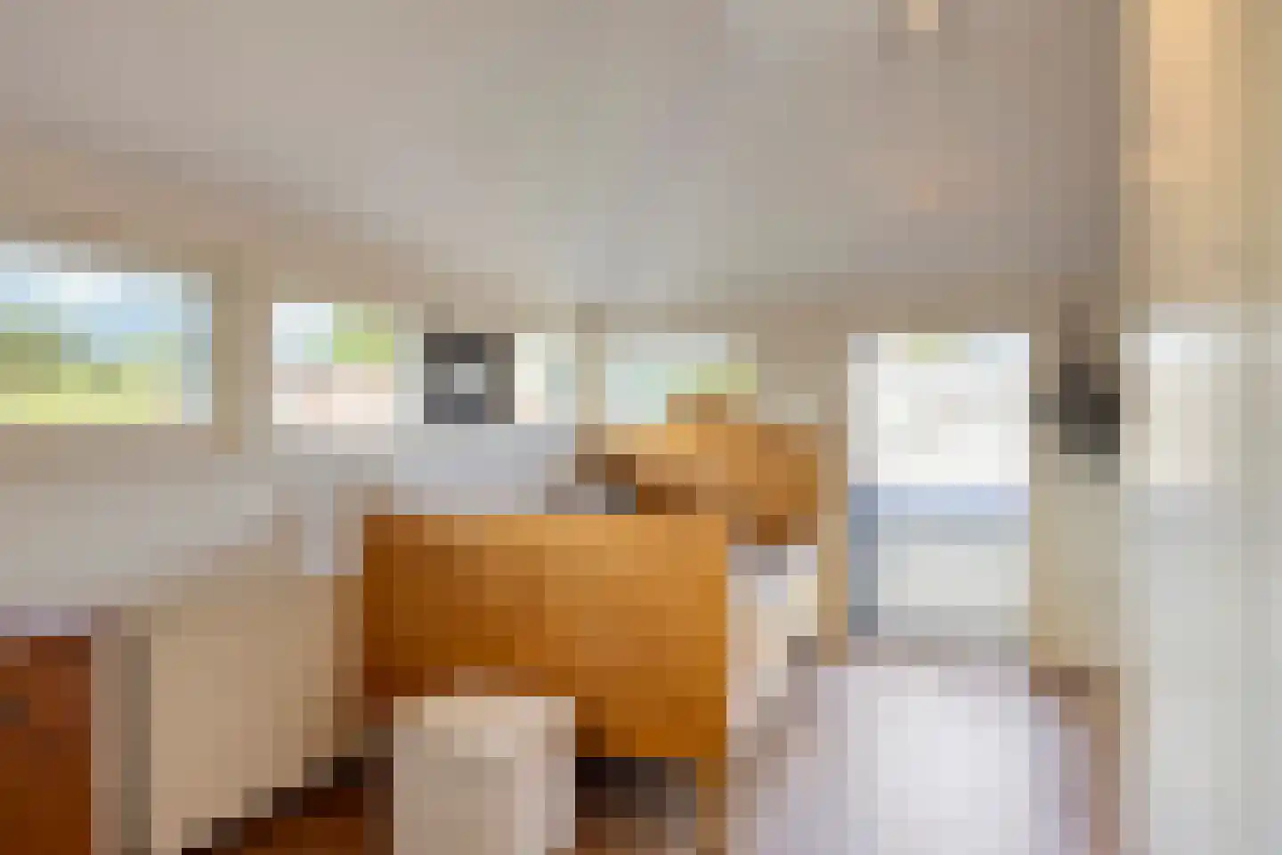 Ringoven 6 Borne thumbnail 35