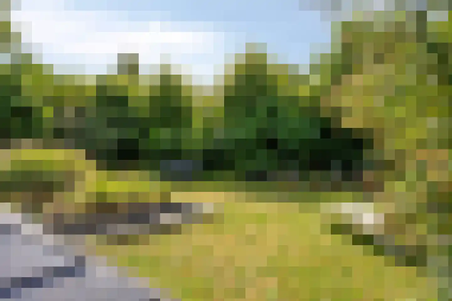 Ringoven 6 Borne thumbnail 4
