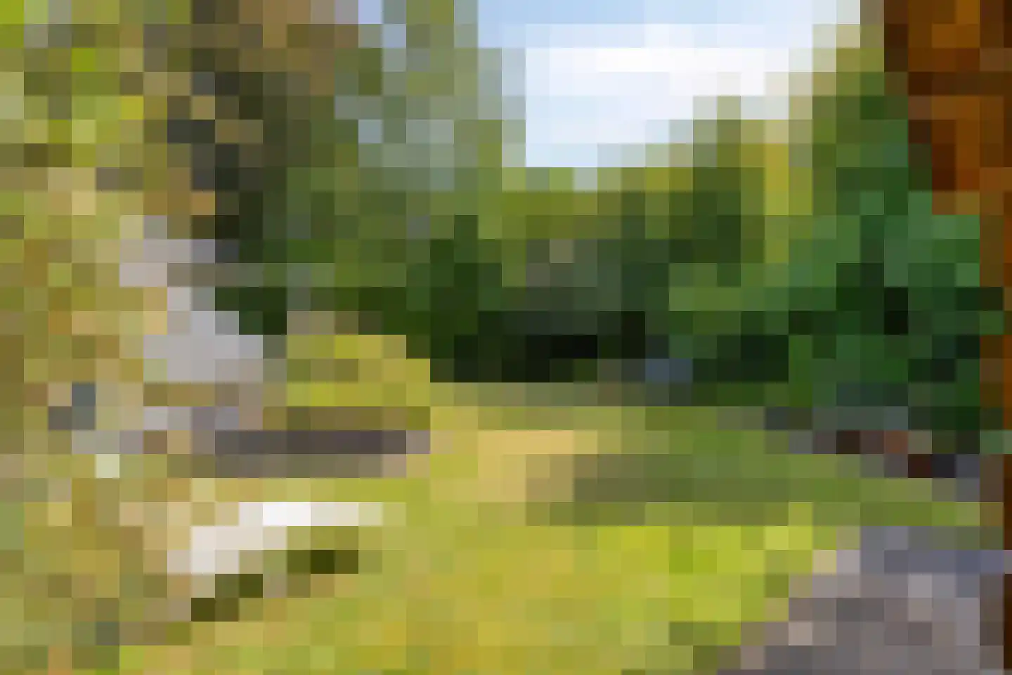 Ringoven 6 Borne thumbnail 5