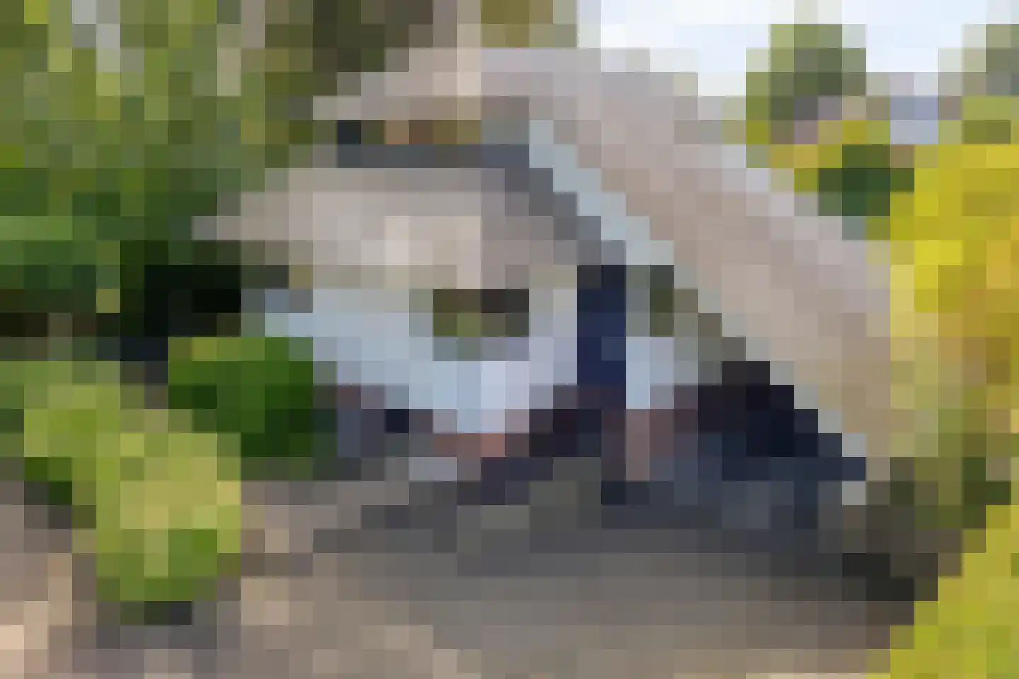 Ringoven 6 Borne thumbnail 51