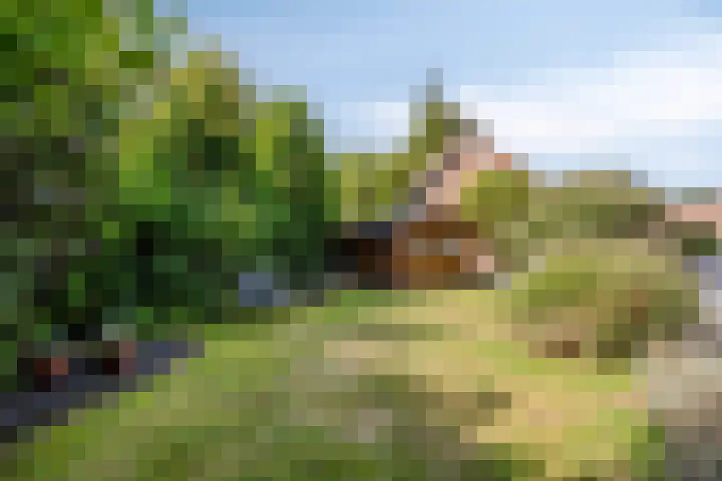 Ringoven 6 Borne thumbnail 52