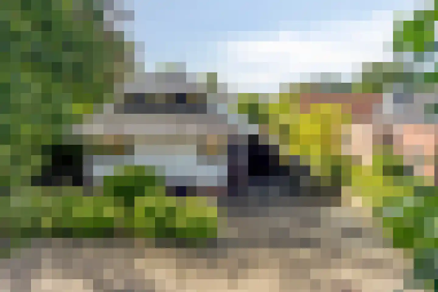 Ringoven 6 Borne thumbnail 8