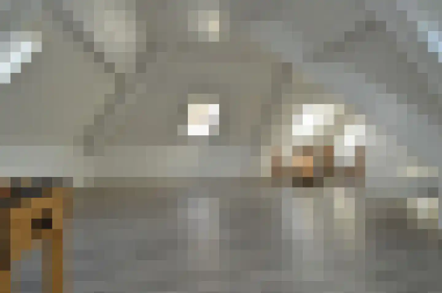 Ringoven 7 Deurne thumbnail 21