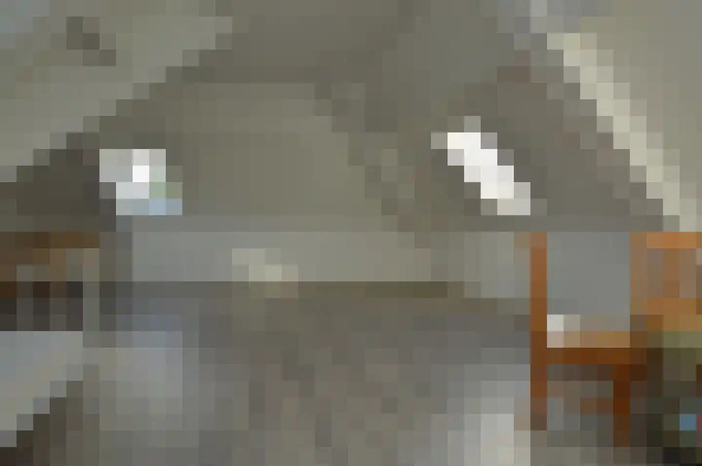 Ringoven 7 Deurne thumbnail 22