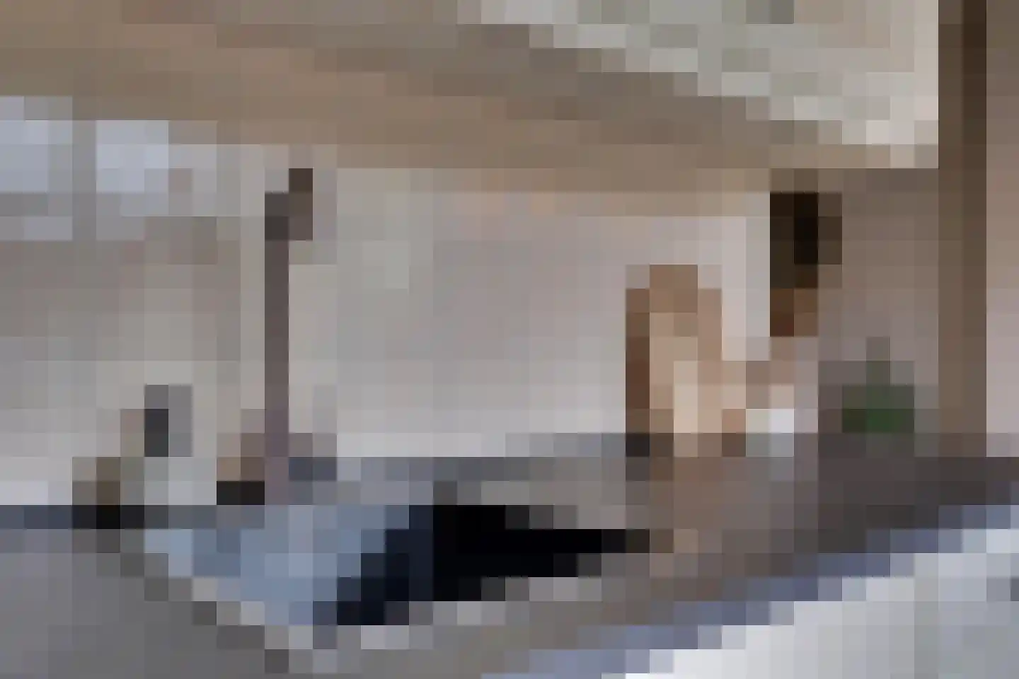 Ringoven 7 Tolkamer thumbnail 15