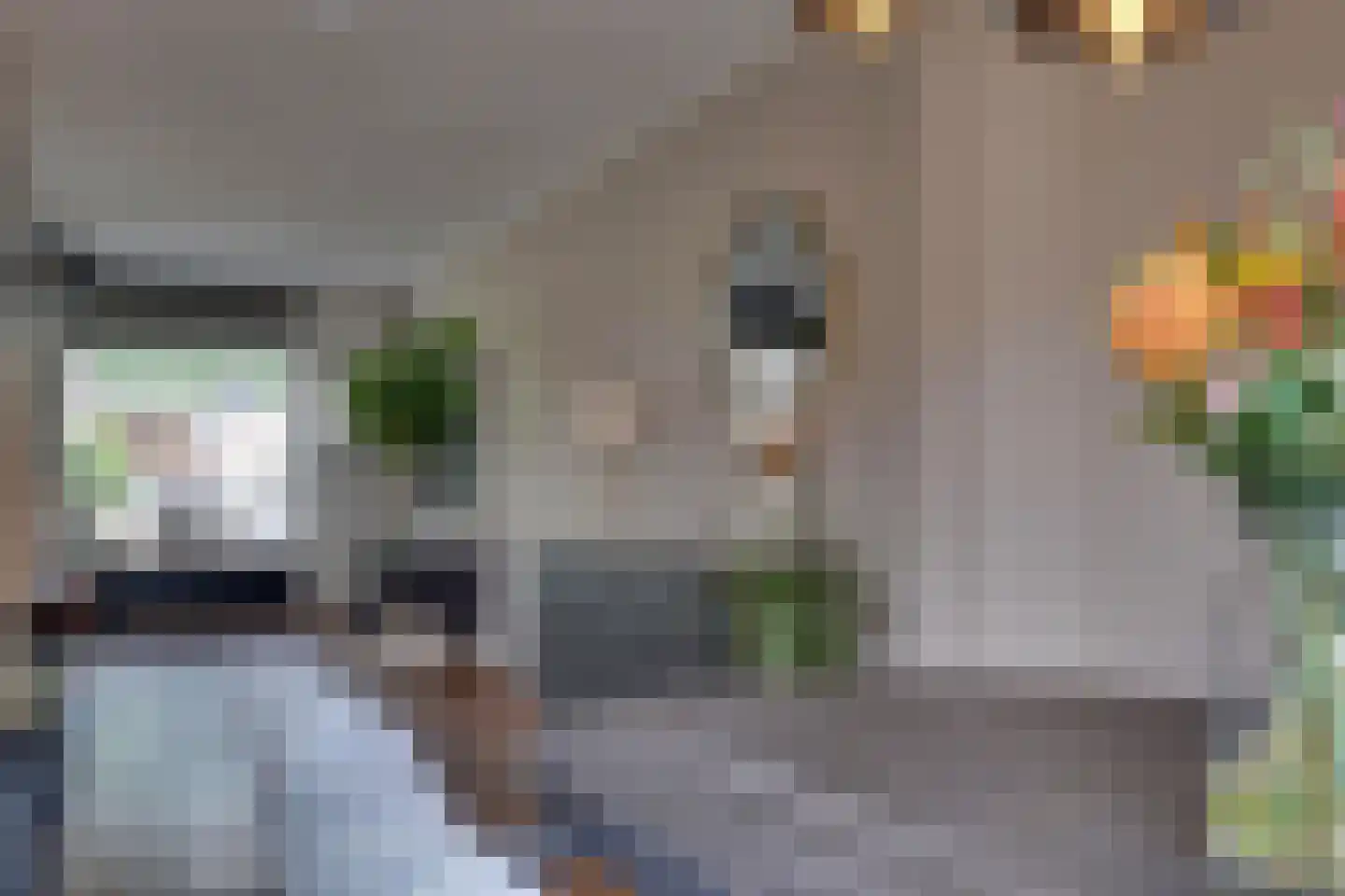 Ringoven 7 Tolkamer thumbnail 16