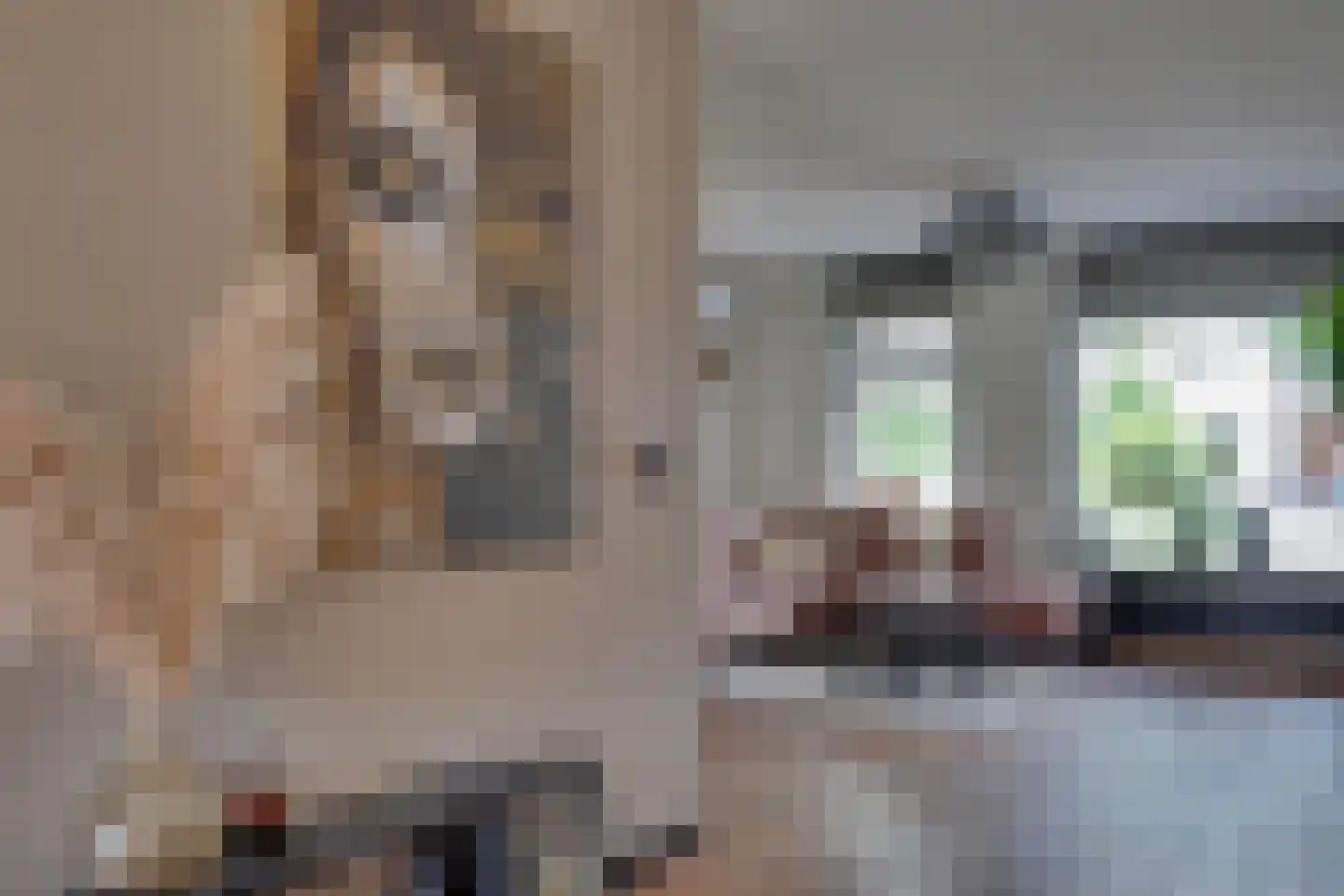 Ringoven 7 Tolkamer thumbnail 17