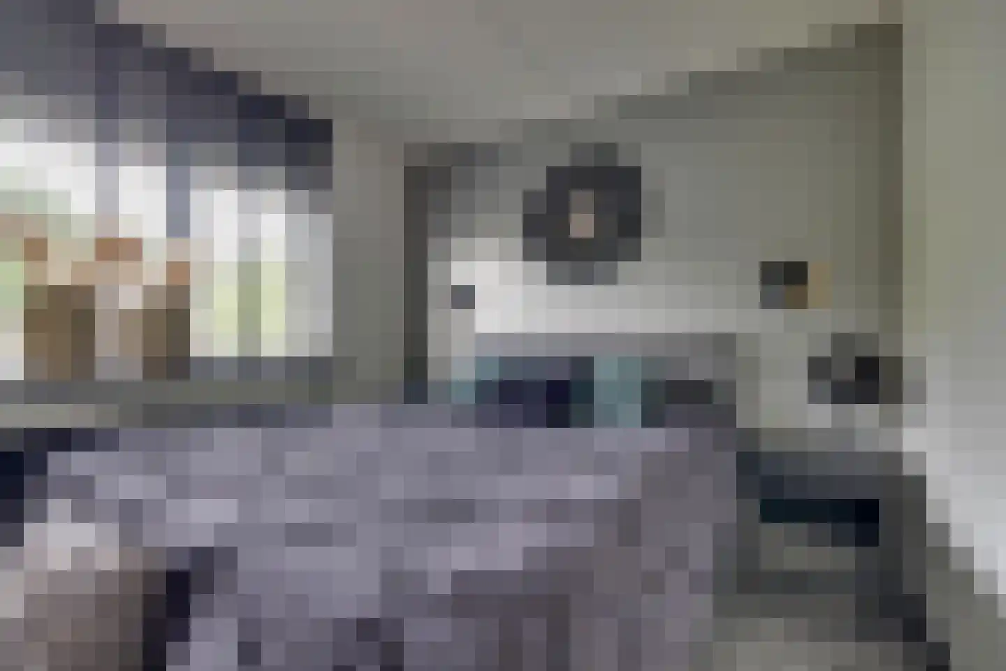 Ringoven 7 Tolkamer thumbnail 19