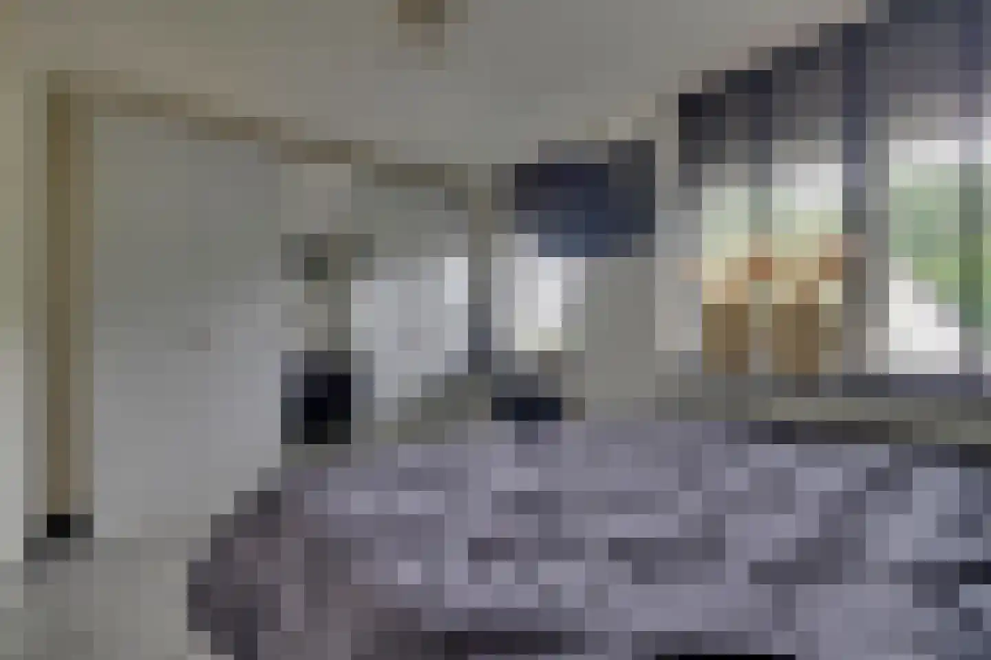 Ringoven 7 Tolkamer thumbnail 20