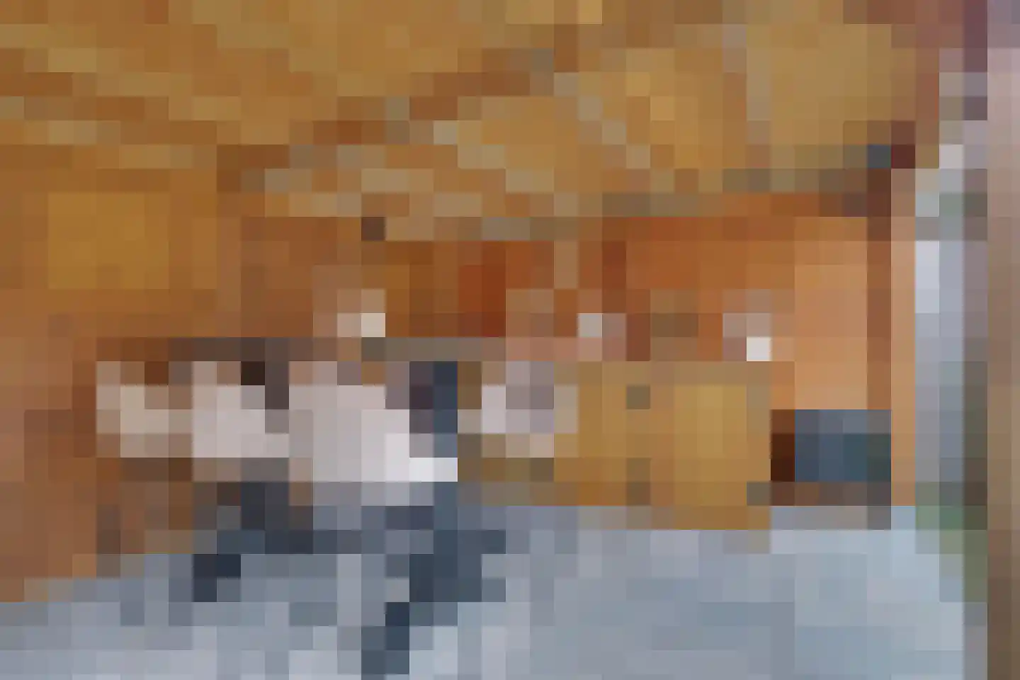 Ringoven 7 Tolkamer thumbnail 29