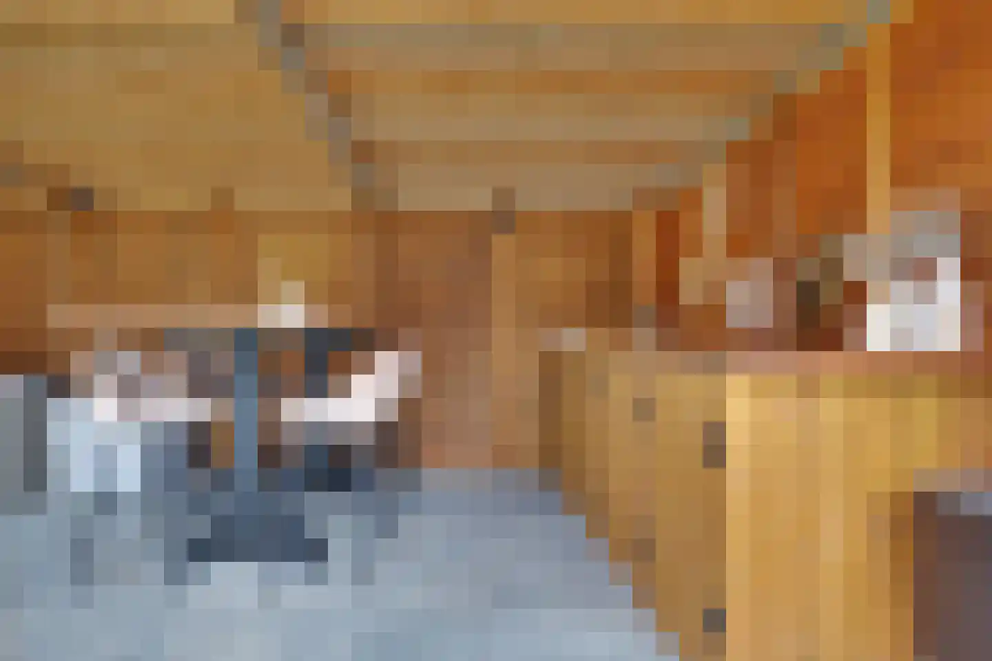 Ringoven 7 Tolkamer thumbnail 30