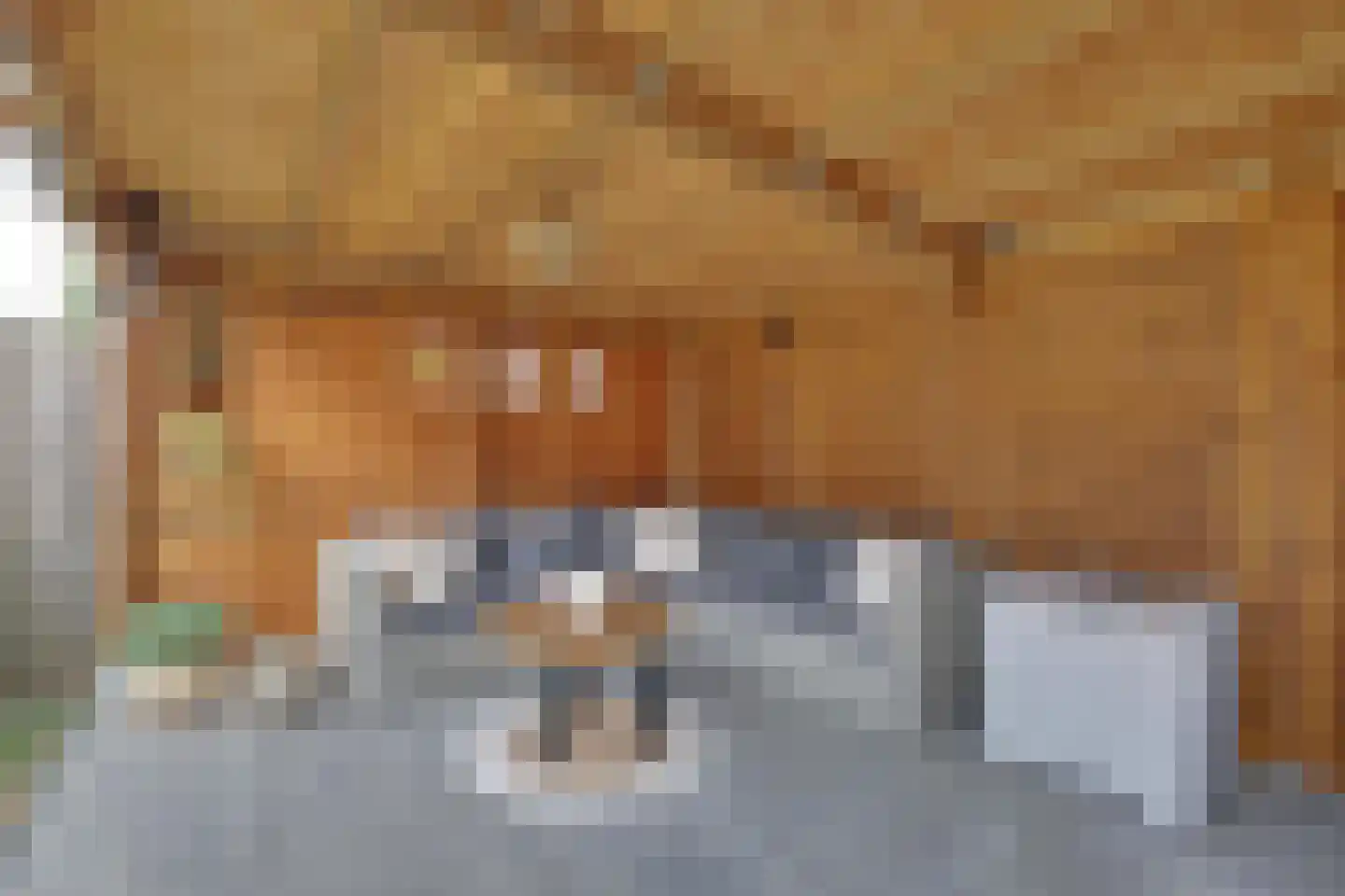 Ringoven 7 Tolkamer thumbnail 32