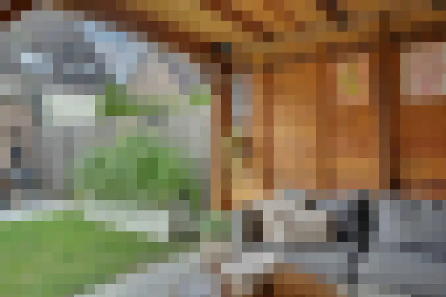 Ringoven 7 Tolkamer thumbnail 33