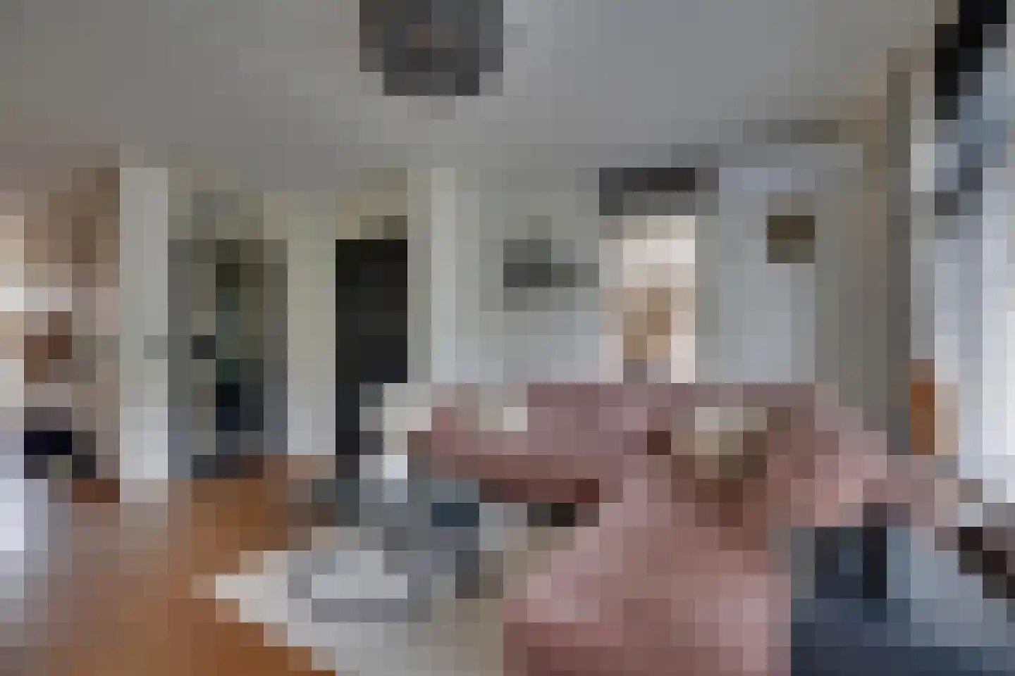 Ringoven 7 Tolkamer thumbnail 9