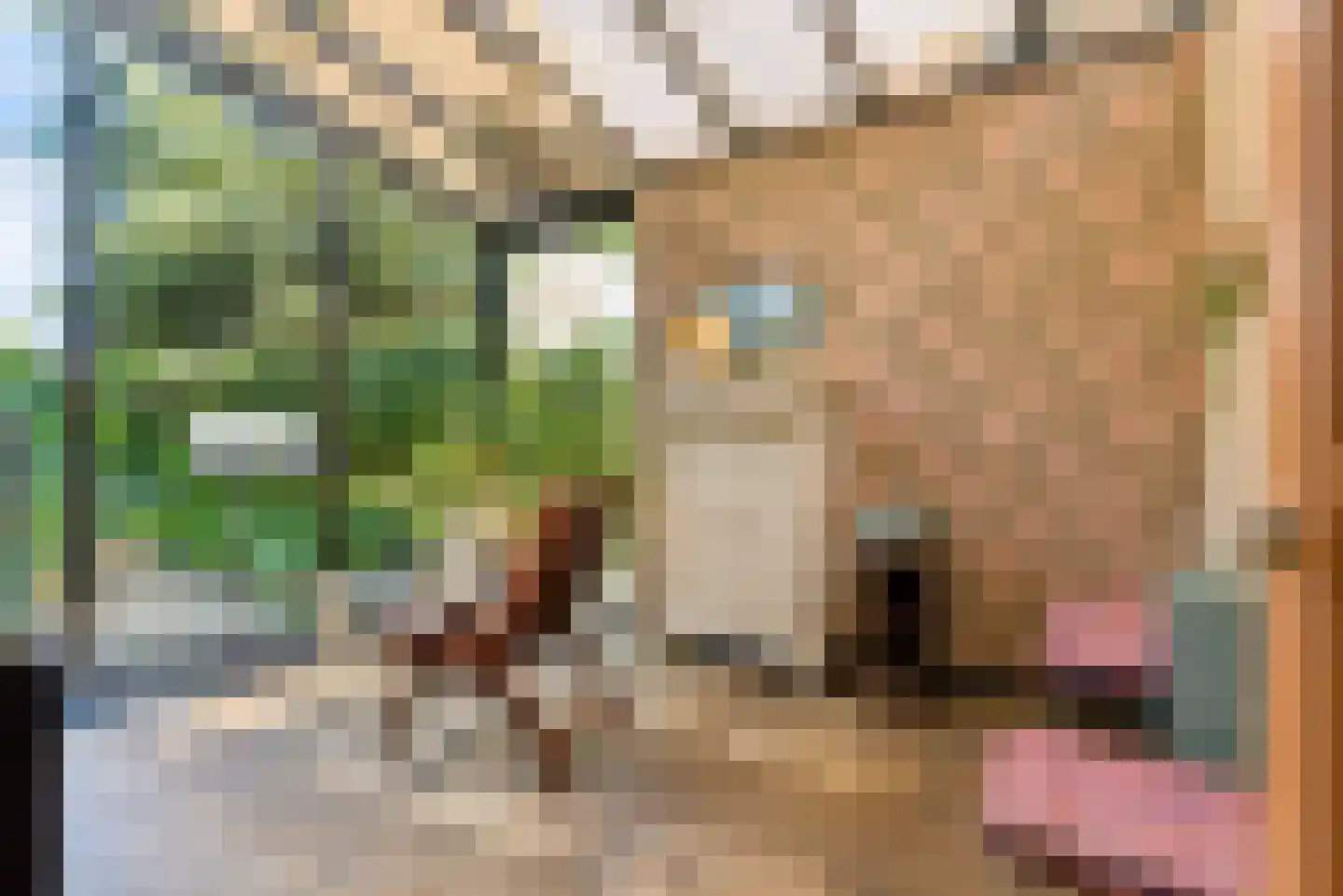 Ringoven 85 Veghel thumbnail 22