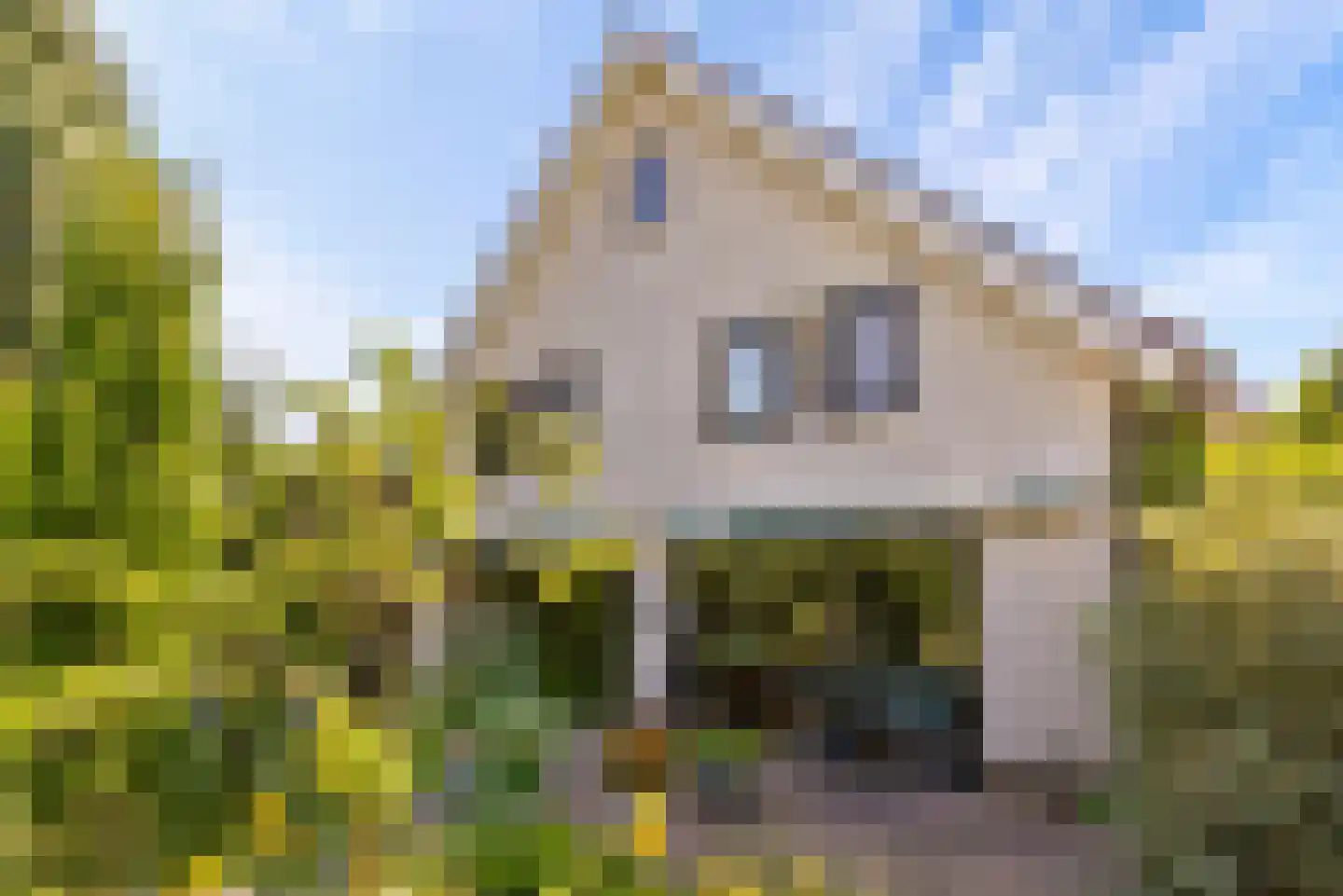 Ringoven 85 Veghel thumbnail 40