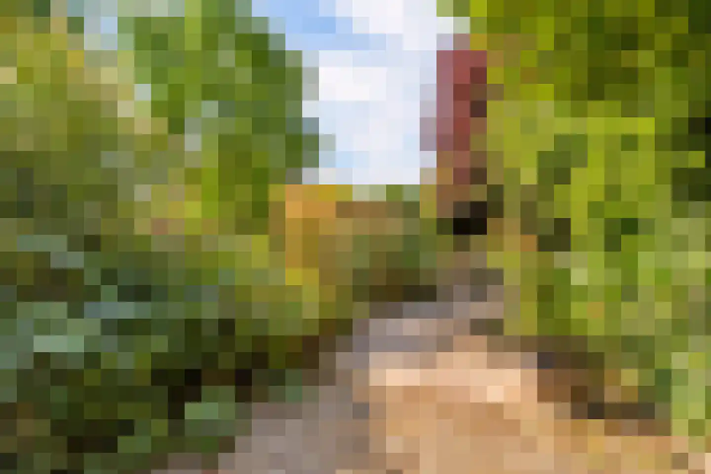 Ringoven 85 Veghel thumbnail 43