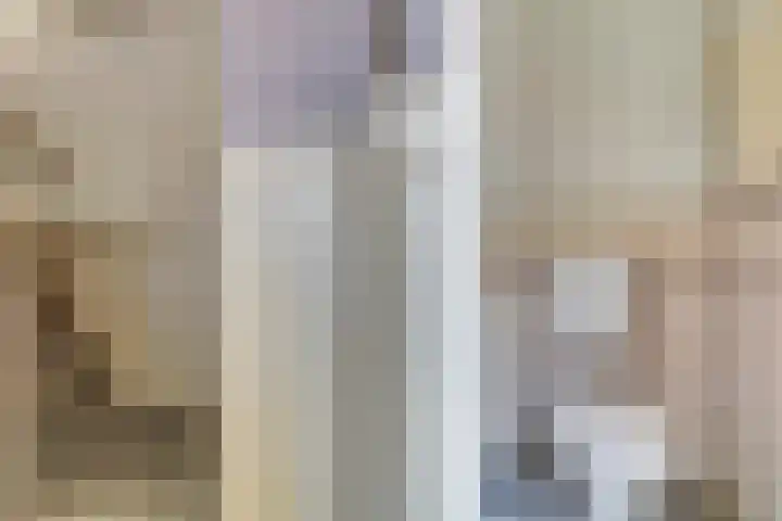 Ringoven 90 Wijk bij Duurstede thumbnail 11