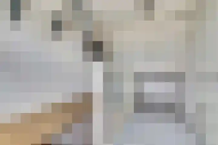 Ringoven 90 Wijk bij Duurstede thumbnail 22
