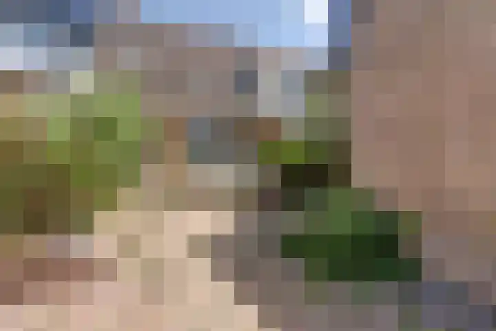 Ringoven 90 Wijk bij Duurstede thumbnail 27