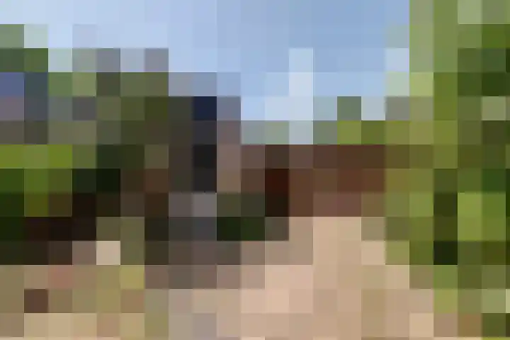 Ringoven 90 Wijk bij Duurstede thumbnail 28