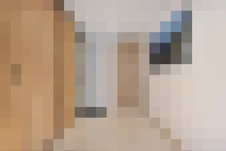 Ringovenhof 30 Tienray thumbnail 22
