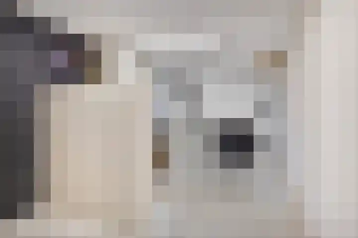 Ringovenhof 30 Tienray thumbnail 24