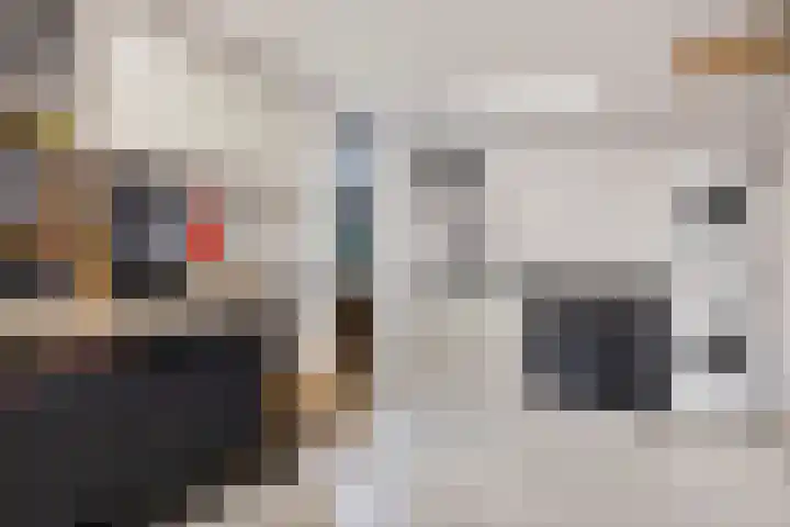 Ringovenhof 30 Tienray thumbnail 25
