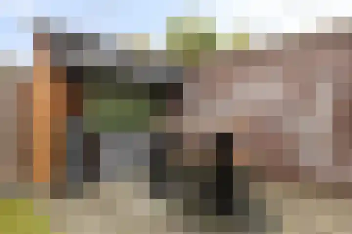 Ringovenhof 30 Tienray thumbnail 28