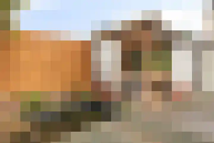 Ringovenhof 30 Tienray thumbnail 29