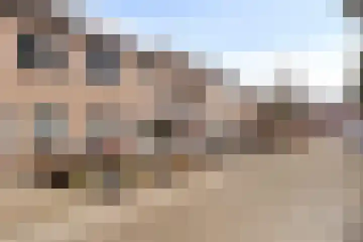 Ringovenhof 30 Tienray thumbnail 31