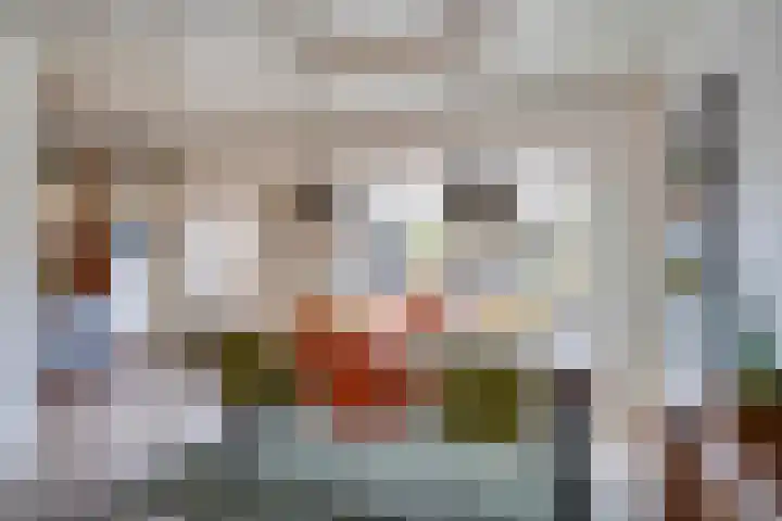 Ringovenhof 32 Tienray thumbnail 12