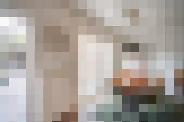 Ringovenhof 32 Tienray thumbnail 19