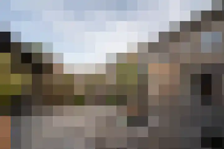 Ringovenhof 32 Tienray thumbnail 34