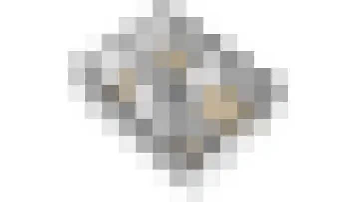 Ringovenhof 32 Tienray thumbnail 44