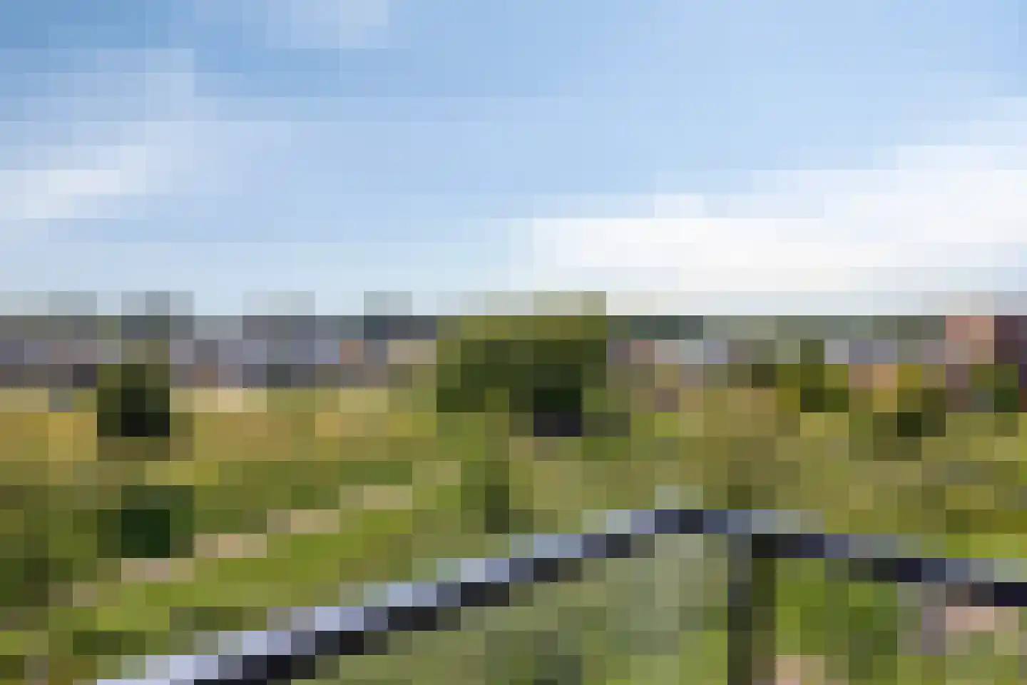 Ringovenpark 94 Panningen thumbnail 22