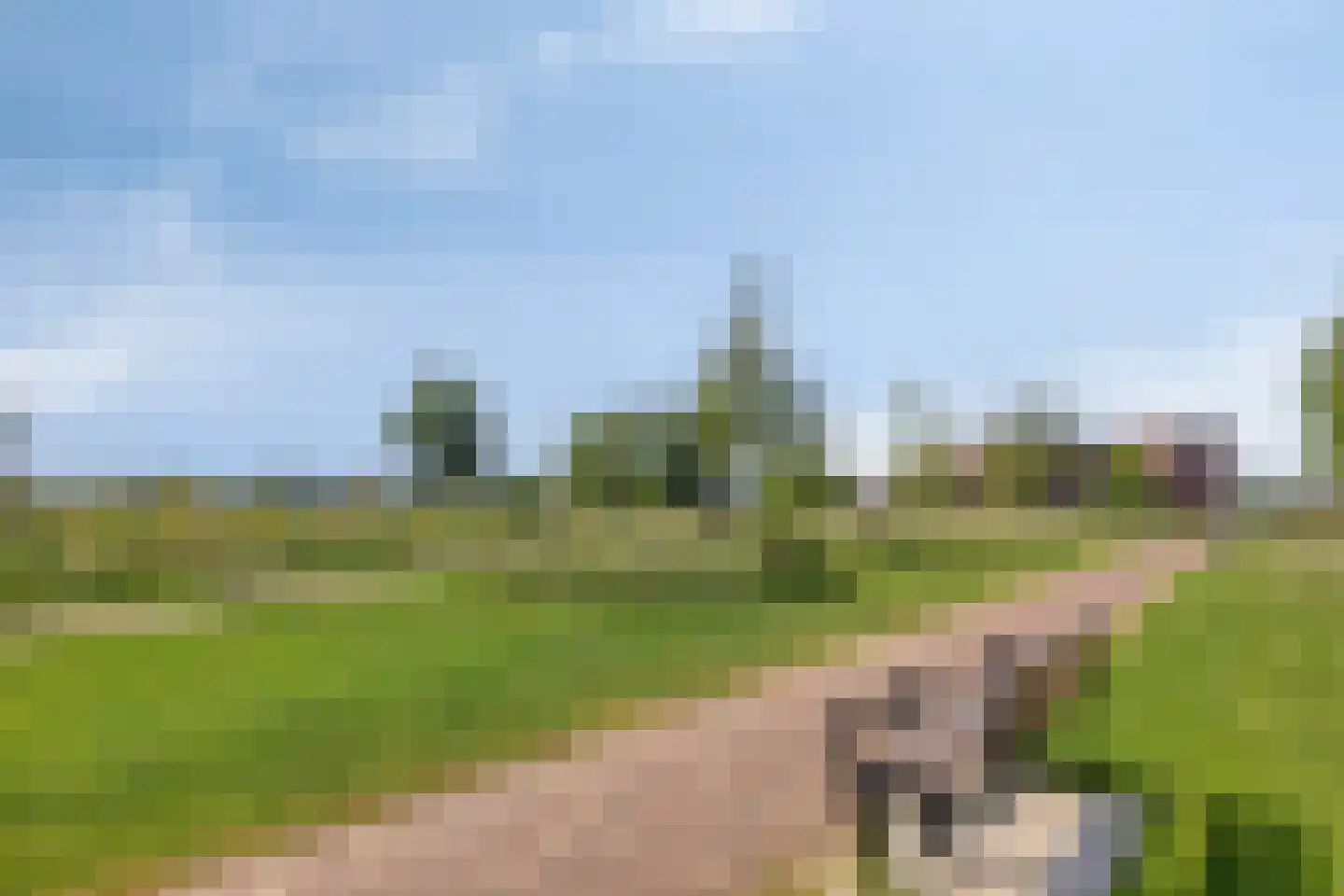Ringovenpark 94 Panningen thumbnail 39