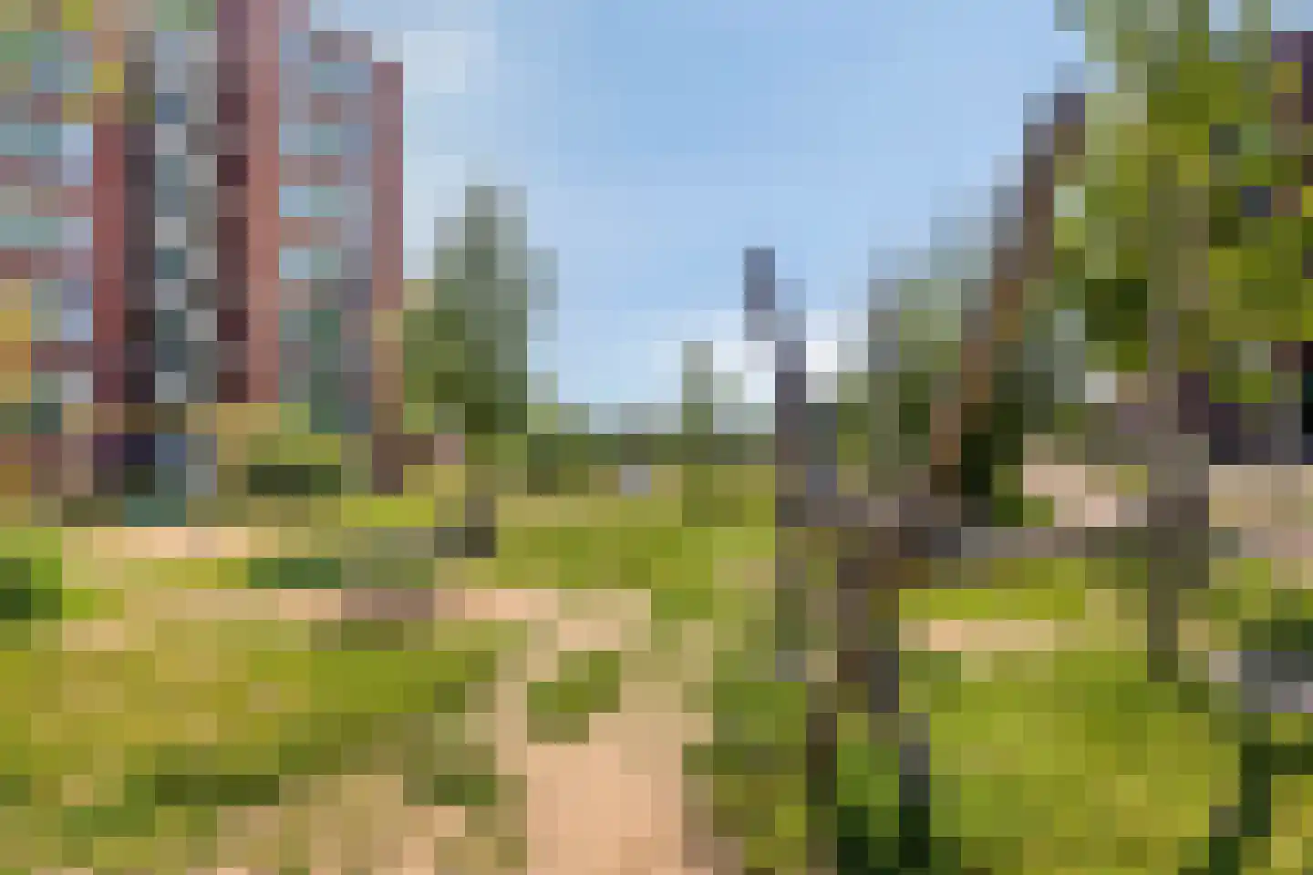 Ringovenpark 94 Panningen thumbnail 46