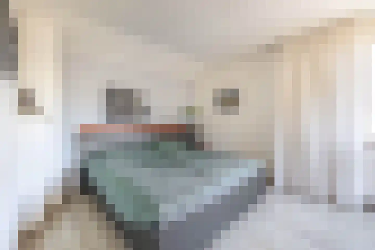 Ringovenstraat 19 Tegelen thumbnail 21