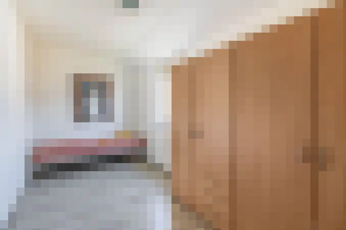 Ringovenstraat 19 Tegelen thumbnail 25