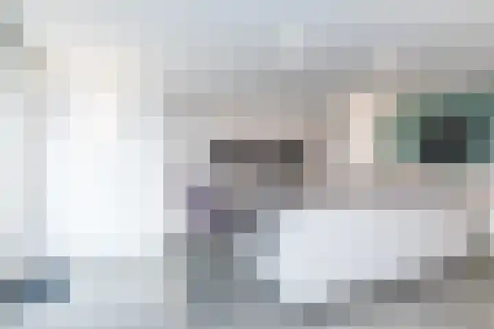 Ringovenstraat 20 Munstergeleen thumbnail 8