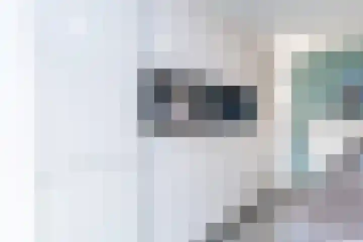 Ringovenstraat 20 Munstergeleen thumbnail 9