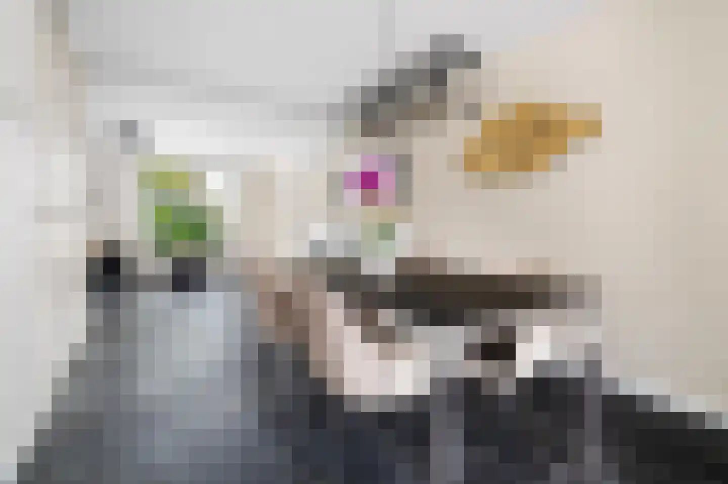 Ringovenstraat 4 Munstergeleen thumbnail 5