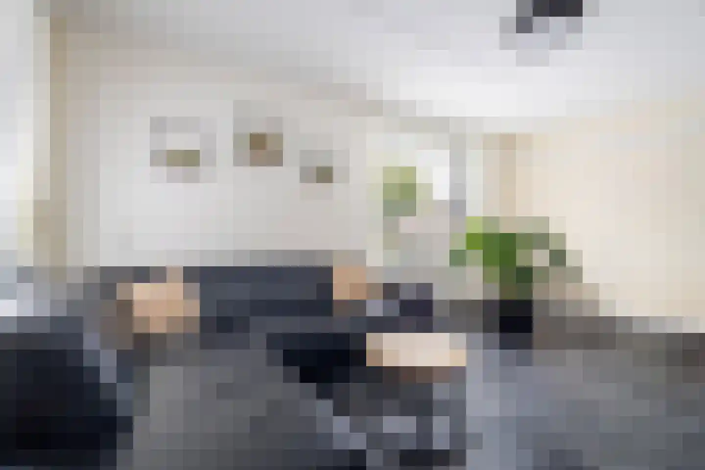 Ringovenstraat 4 Munstergeleen thumbnail 6