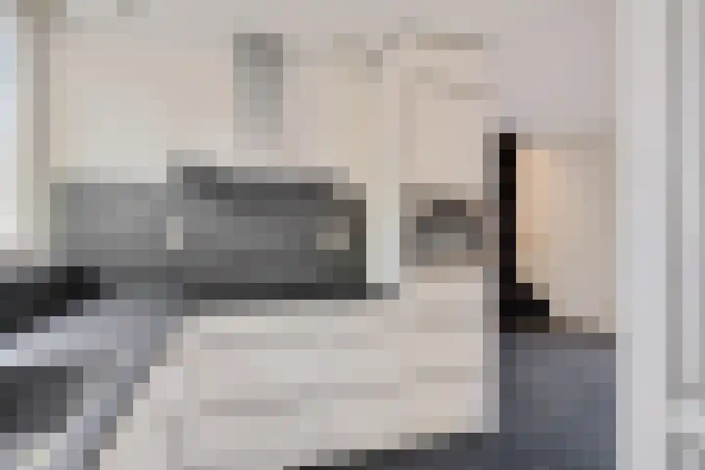 Ringslang 100 Amstelveen thumbnail 10