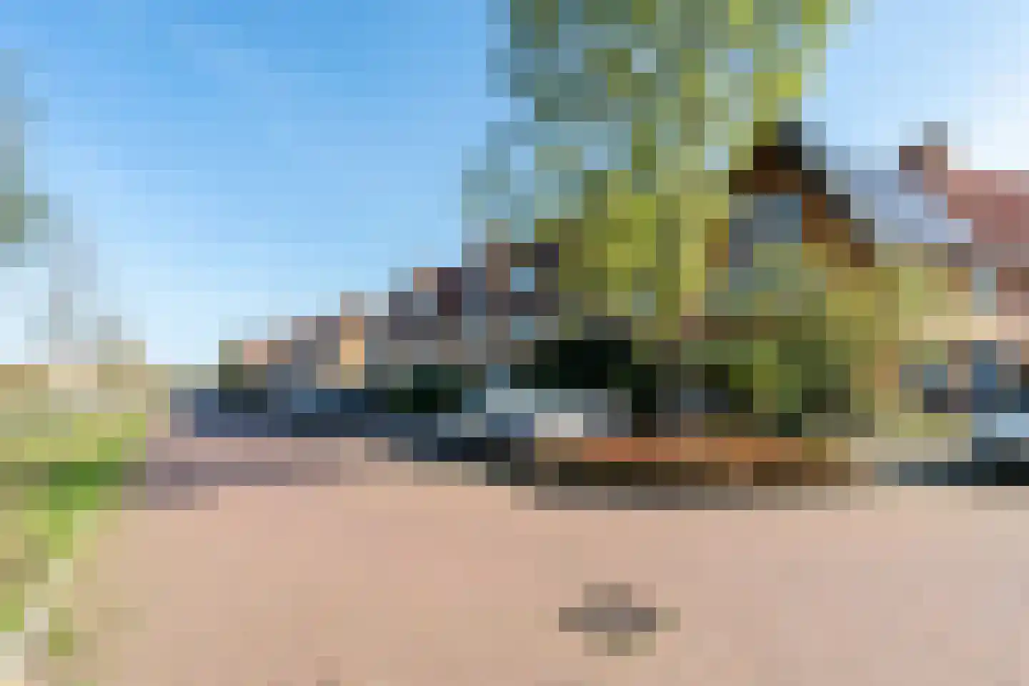 Ringslang 100 Amstelveen thumbnail 26