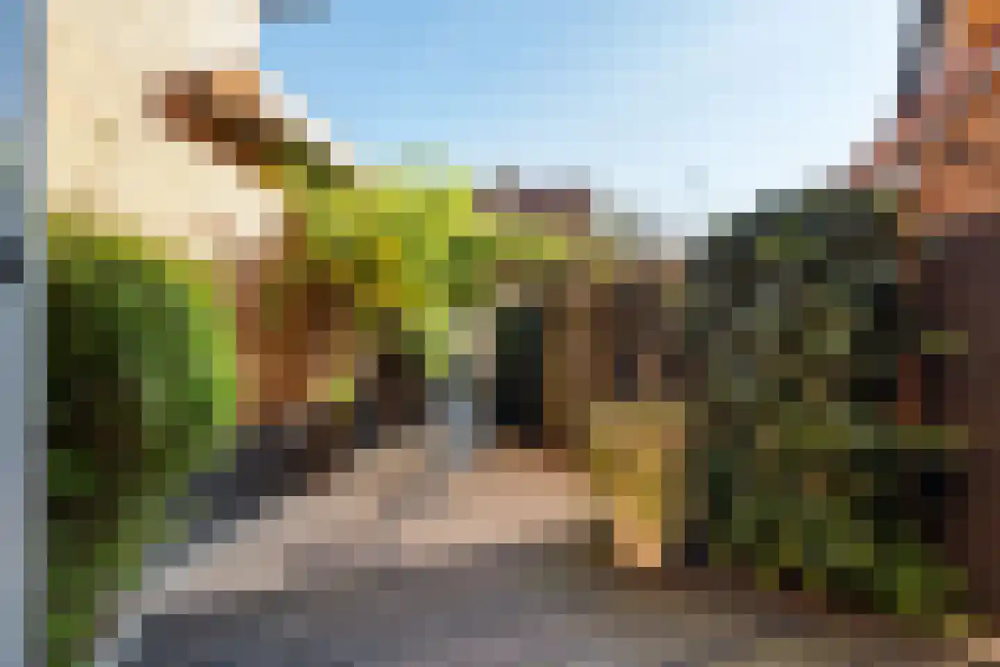 Ringslang 100 Amstelveen thumbnail 27
